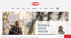 Desktop Screenshot of olang.nl