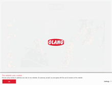 Tablet Screenshot of olang.nl